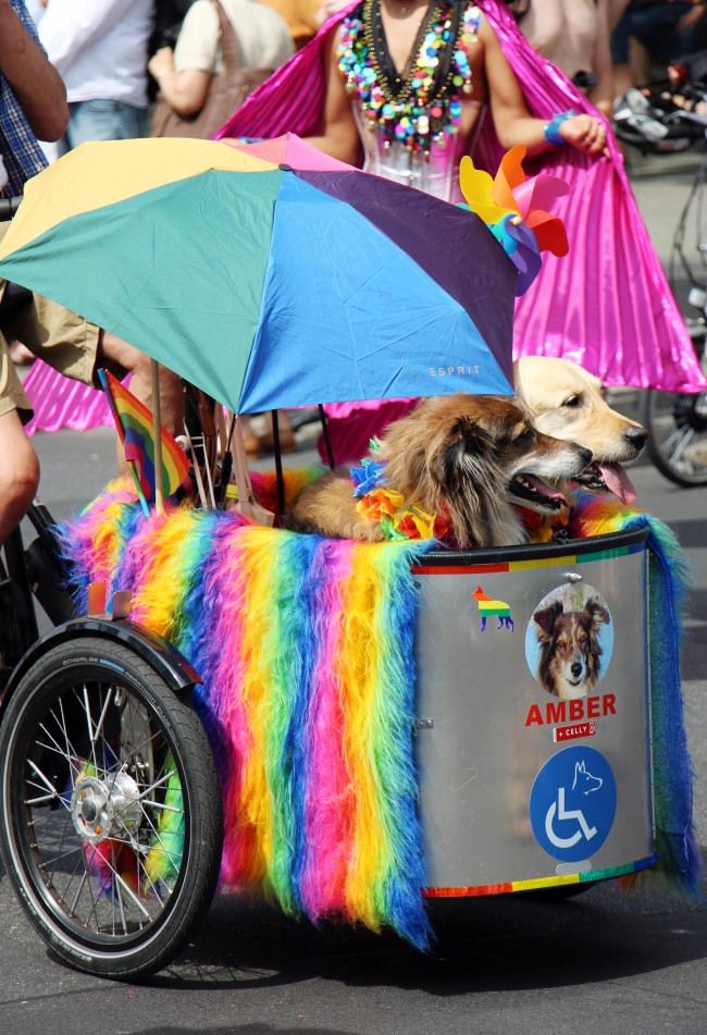 CSD09