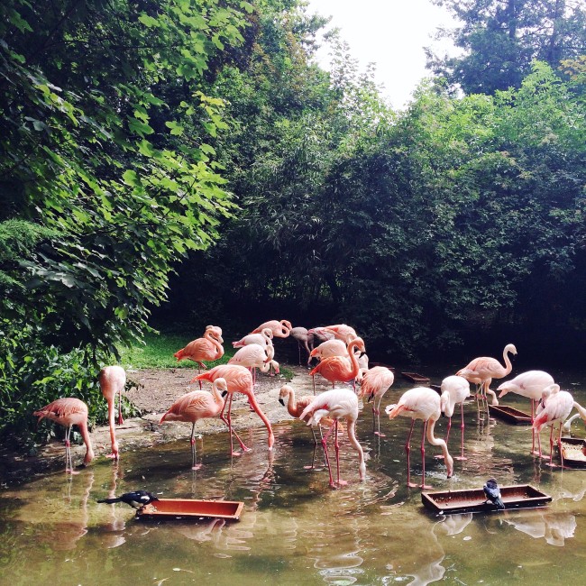 Wuppertal Zoo 02