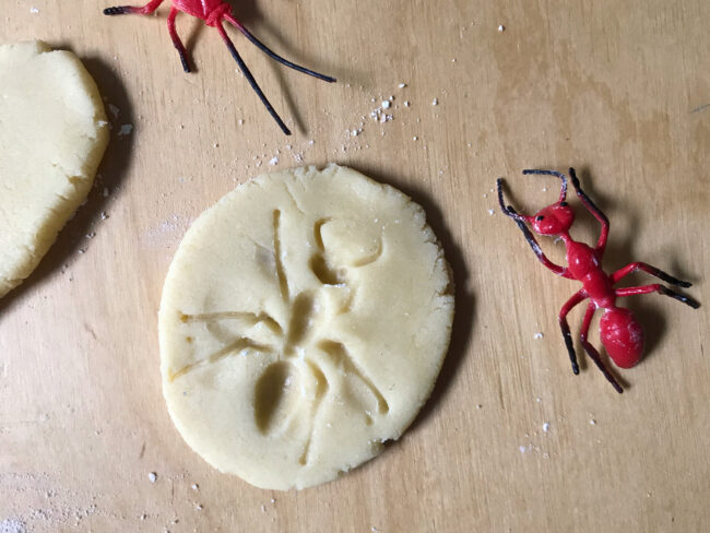 Fossil Cookies Recipe