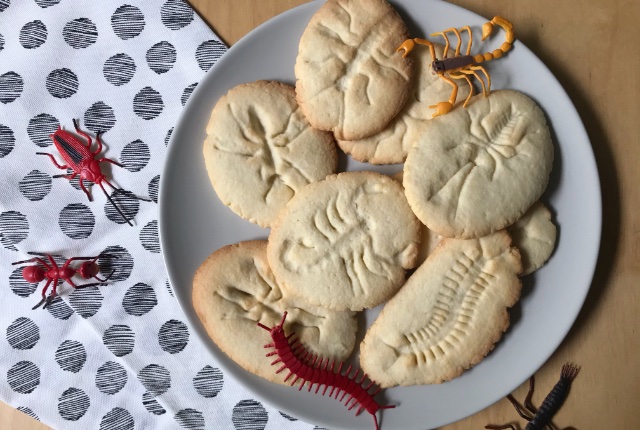 Fossil Cookies Recipe