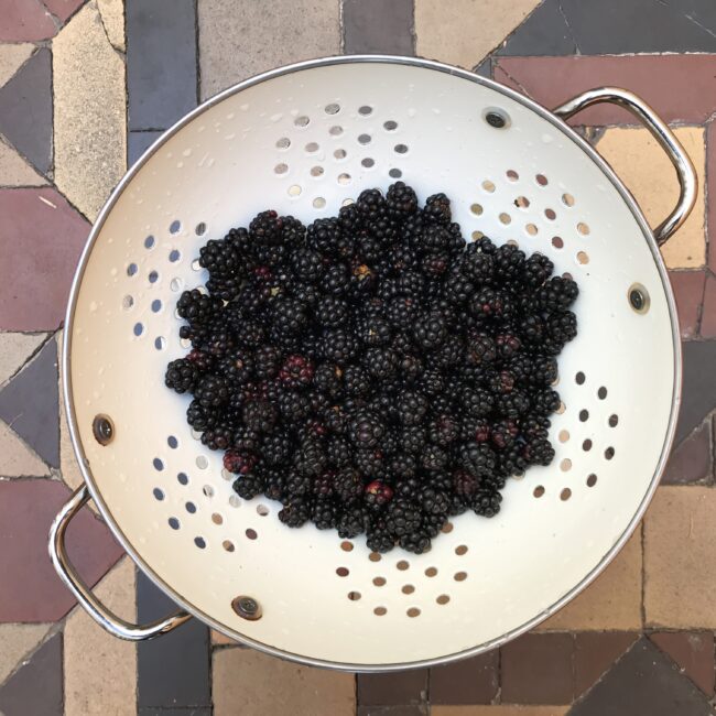 Foraged Brambles