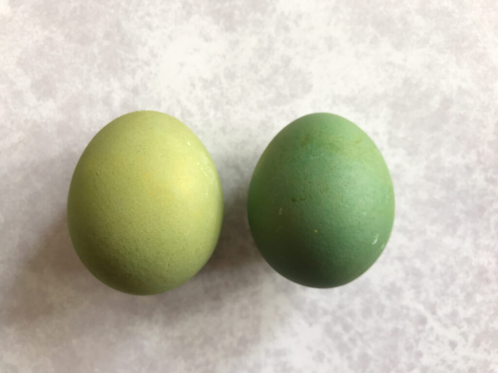 Natural Easter Egg Dyes green