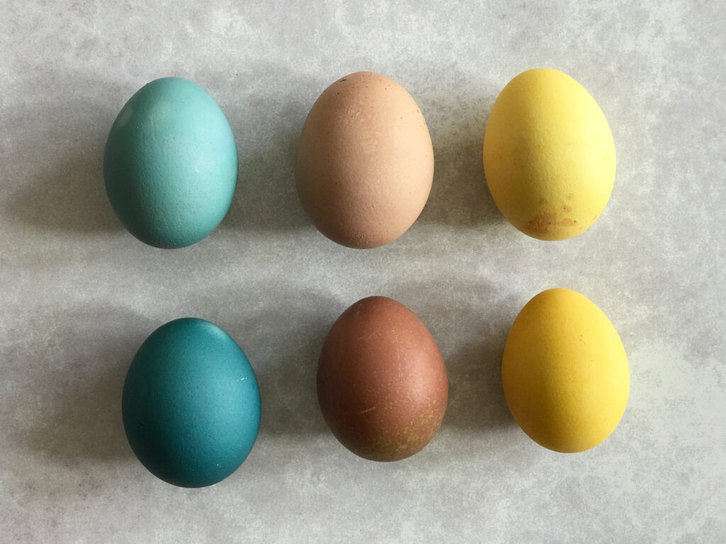 Natural Easter Egg Dyes