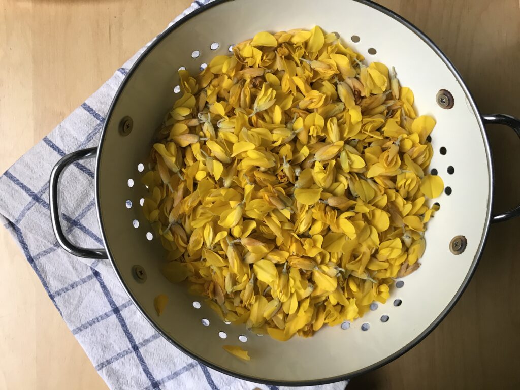 Gorse Flower Cordial Recipe