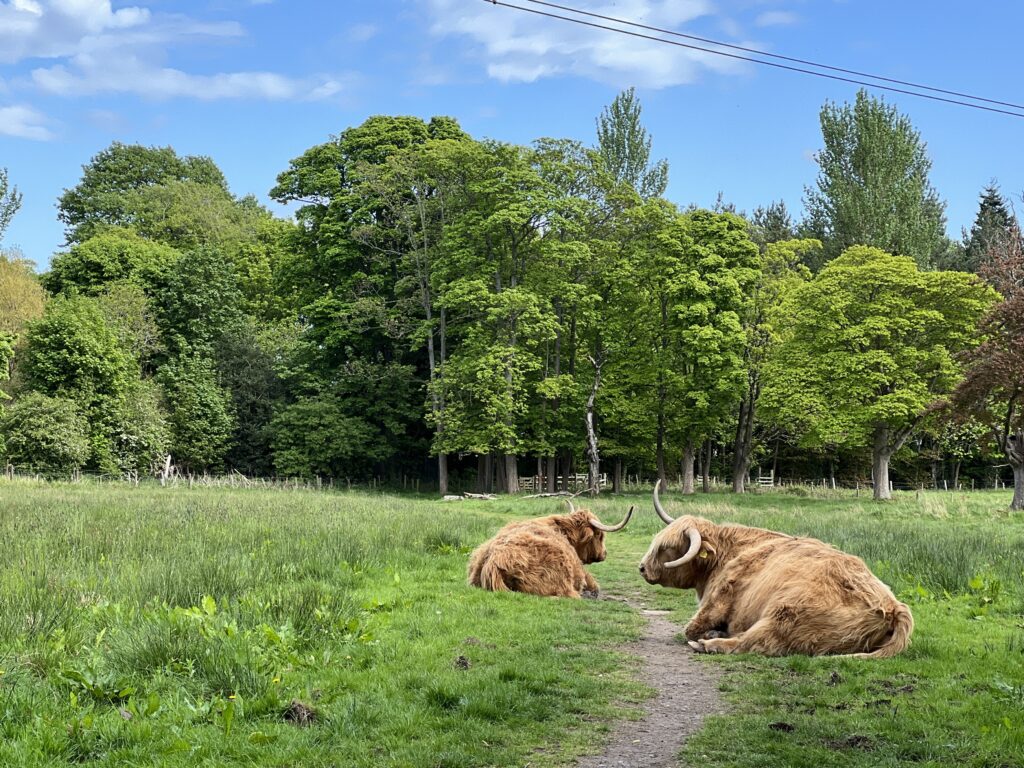 Seven Acre Park Edinburgh