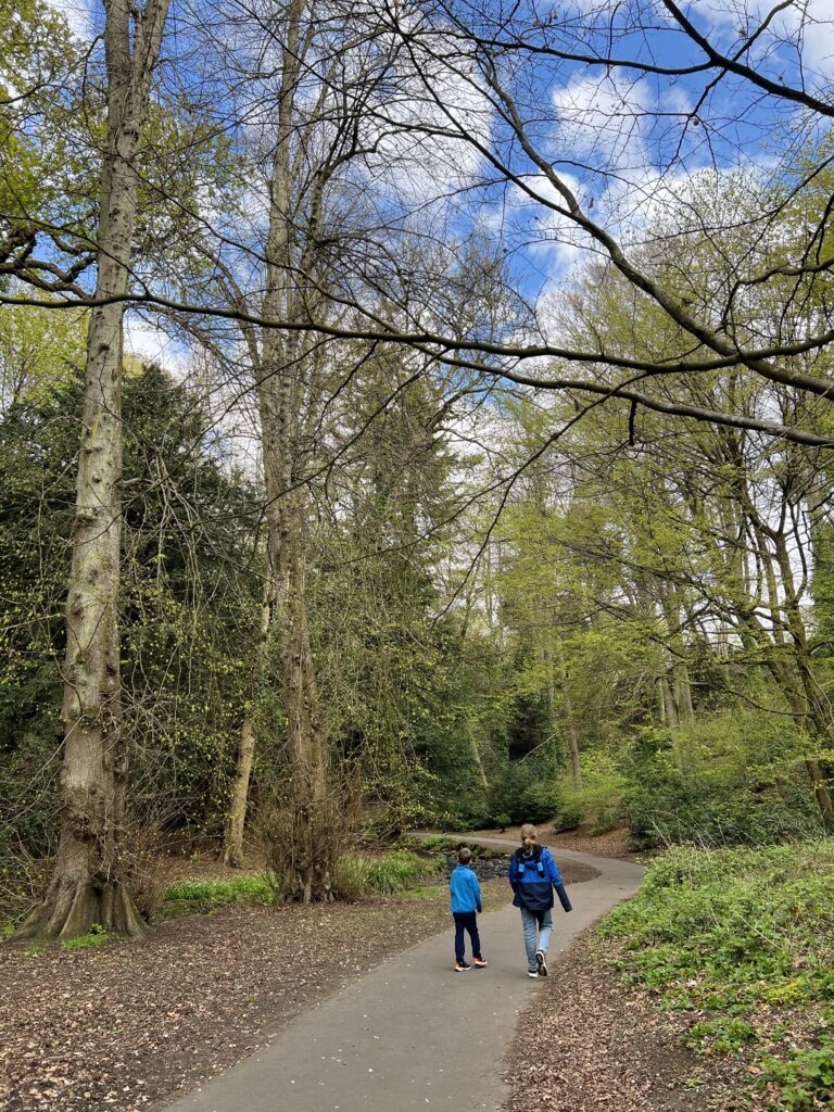 Pittencrieff Park woodland walk