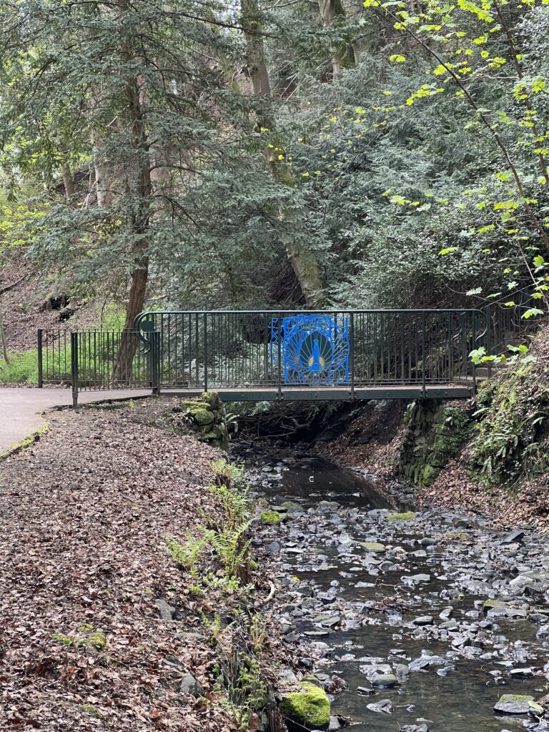 Pittencrieff Park peacock bridge