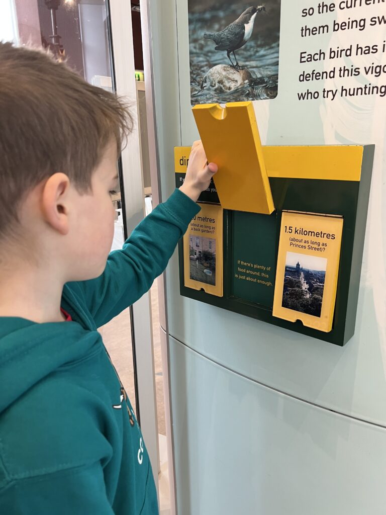 Water of Leith Visitor Centre exhibition panels