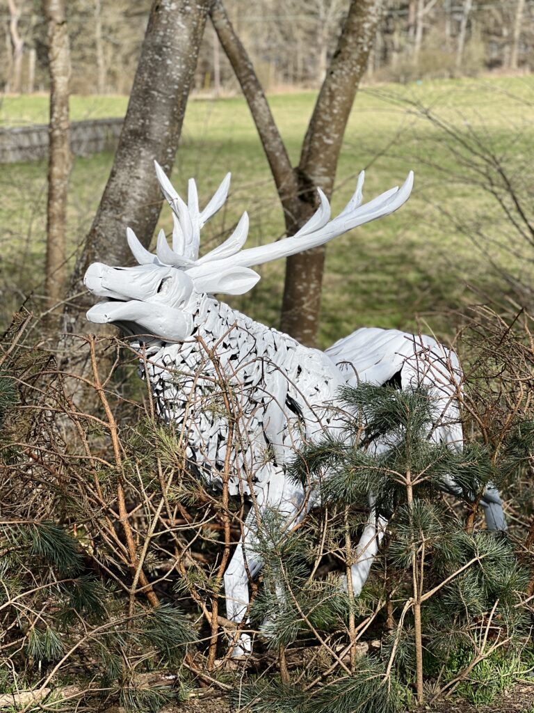 Abbotsford House Witch Corner trail stag