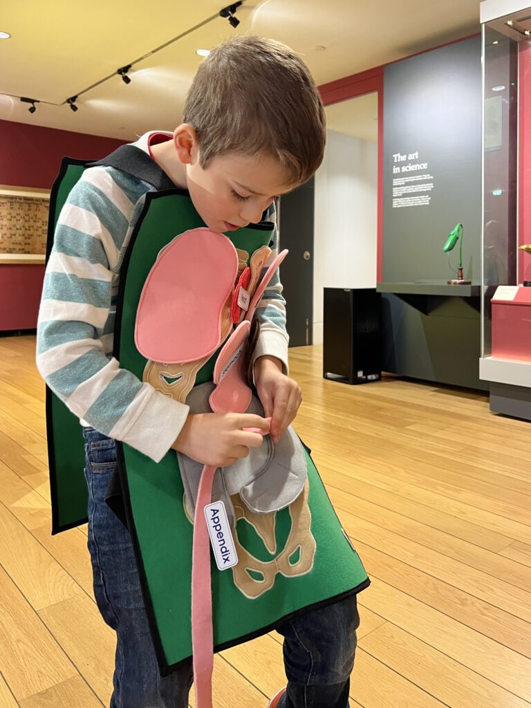 Wardlaw Museum St Andrews Adventure Backpacks