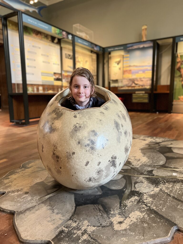 Kelvingrove Art Gallery and Museum dinosaur egg