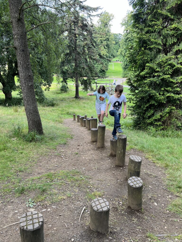 Callendar Park Play Trail stepping logs