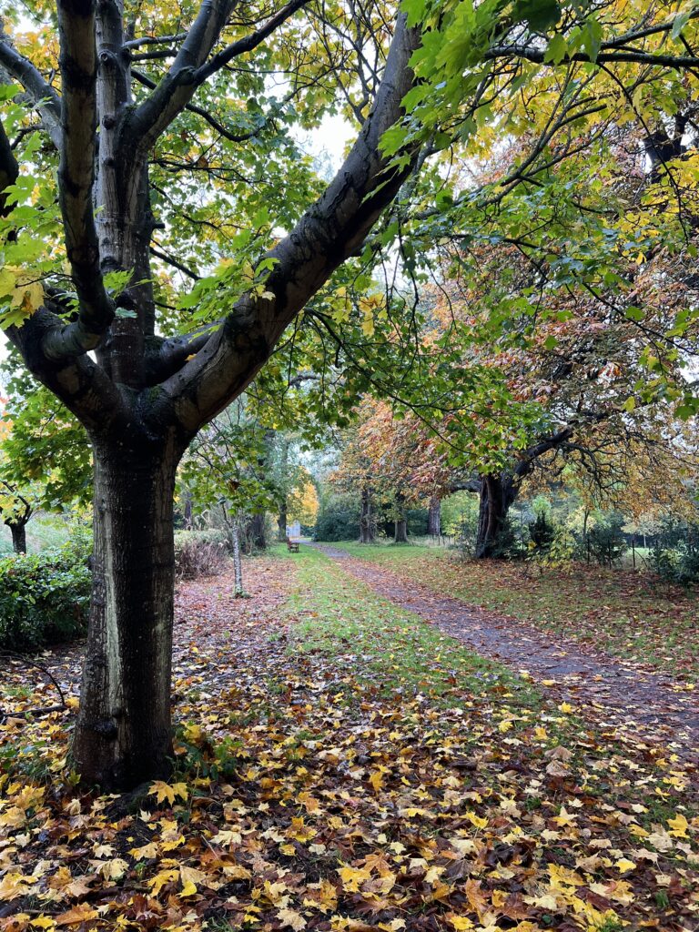 Lauriston Castle Autumn leaves