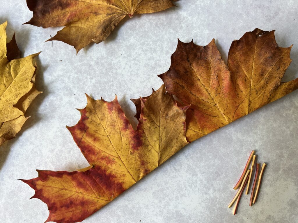 Autumn Leaf Crown Joining Leaves