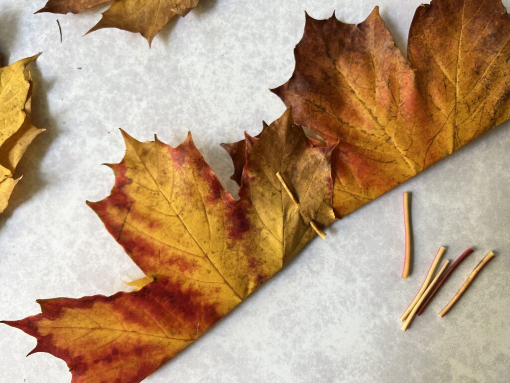 Autumn Leaf Crown Joining Leaves