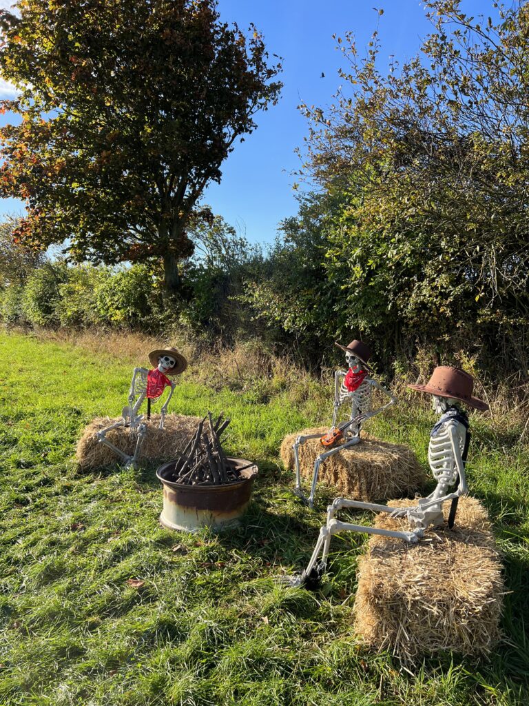 Kilduff Pumpkin Patch Skeletons