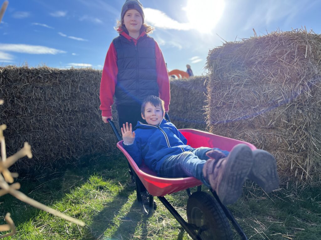 Kilduff Farm Hay Bale Maze