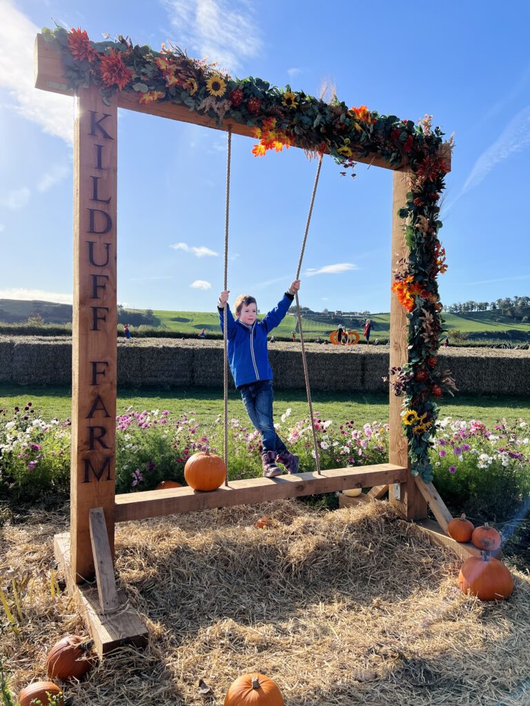 Kilduff Pumpkin Patch