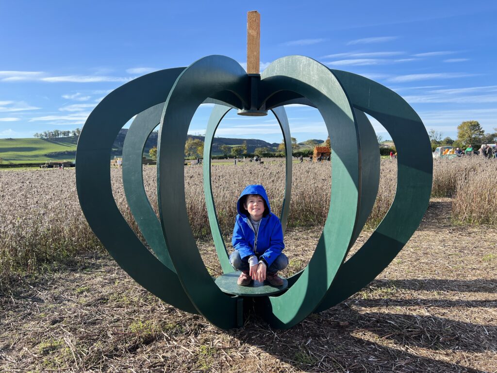 Kilduff Pumpkin Patch 