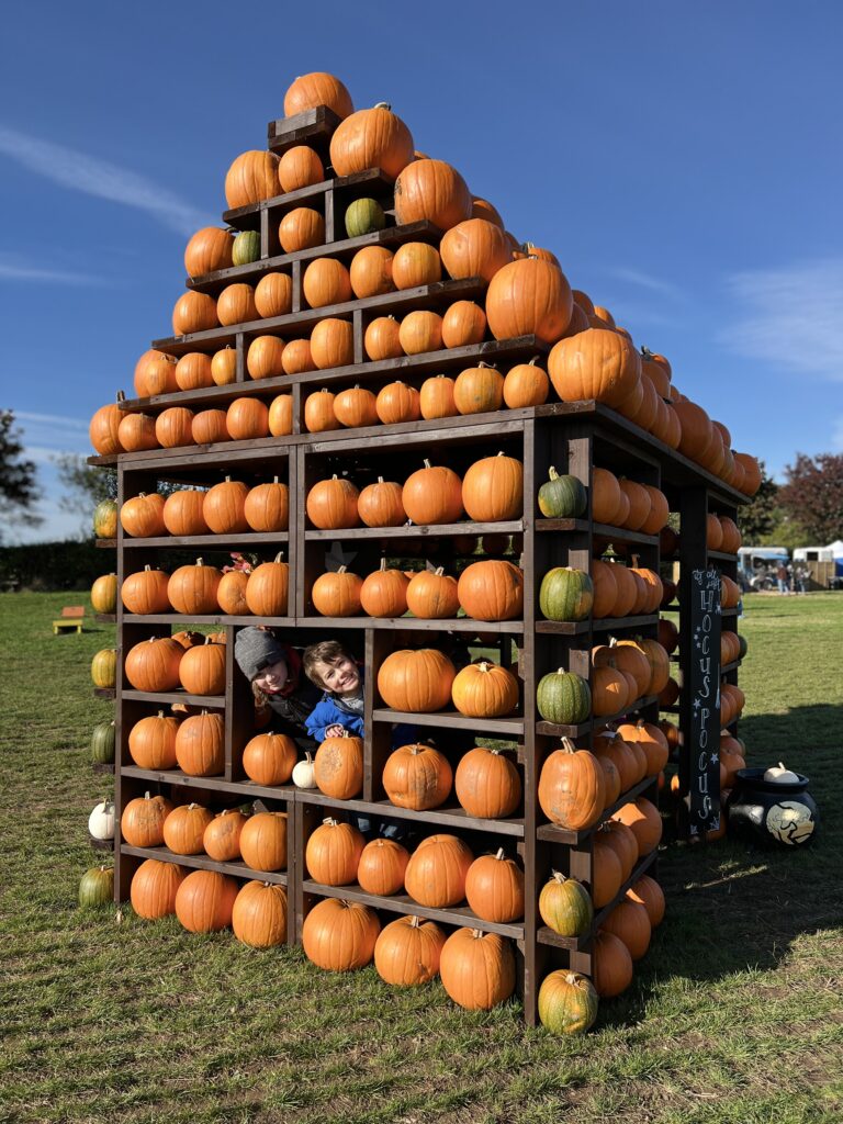 Kilduff Farm Pumpkin House