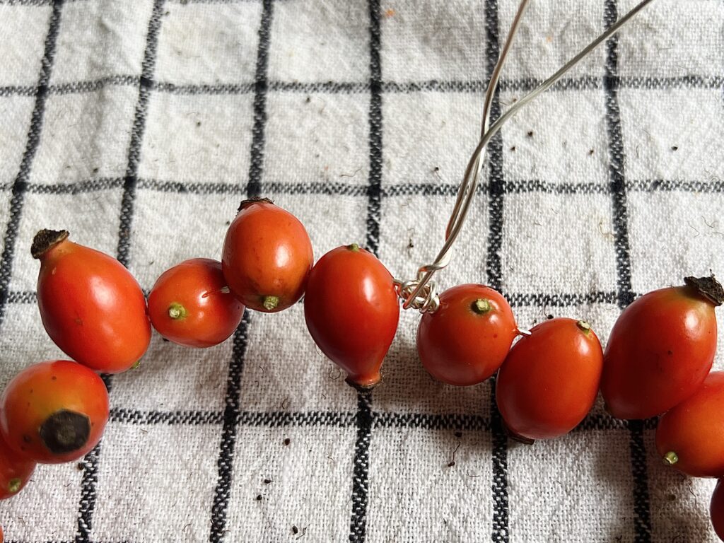 rose hip heart decoration