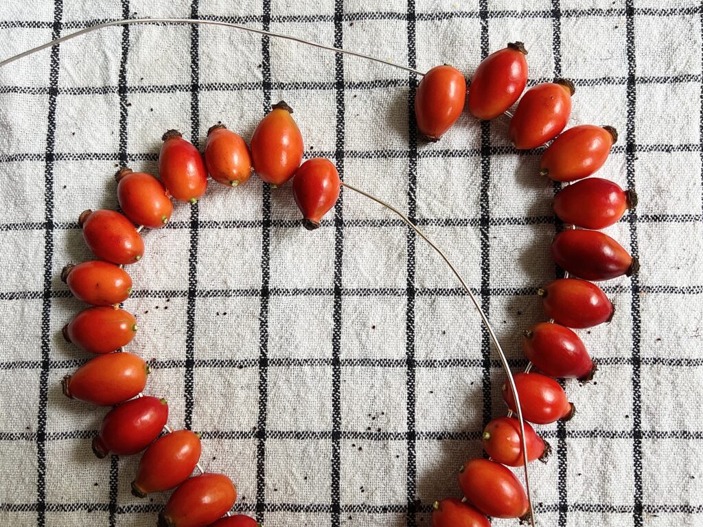 threading rose hips on to wire