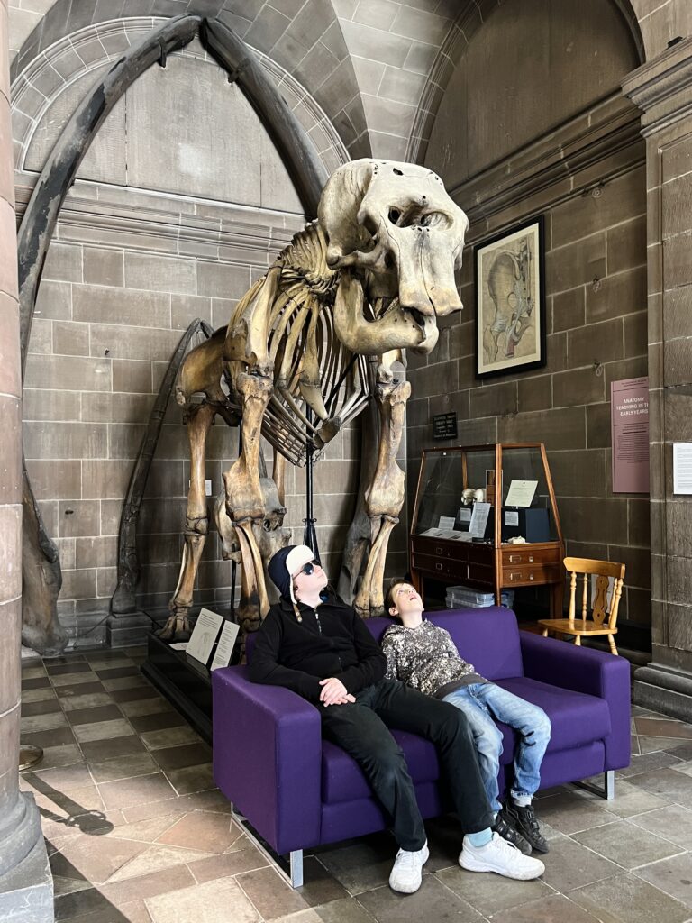 University of Edinburgh Anatomical Museum