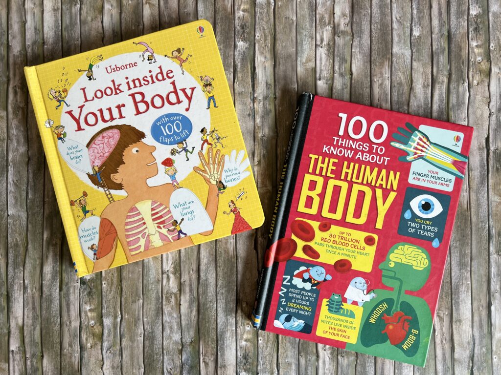 Anatomy Books for Children