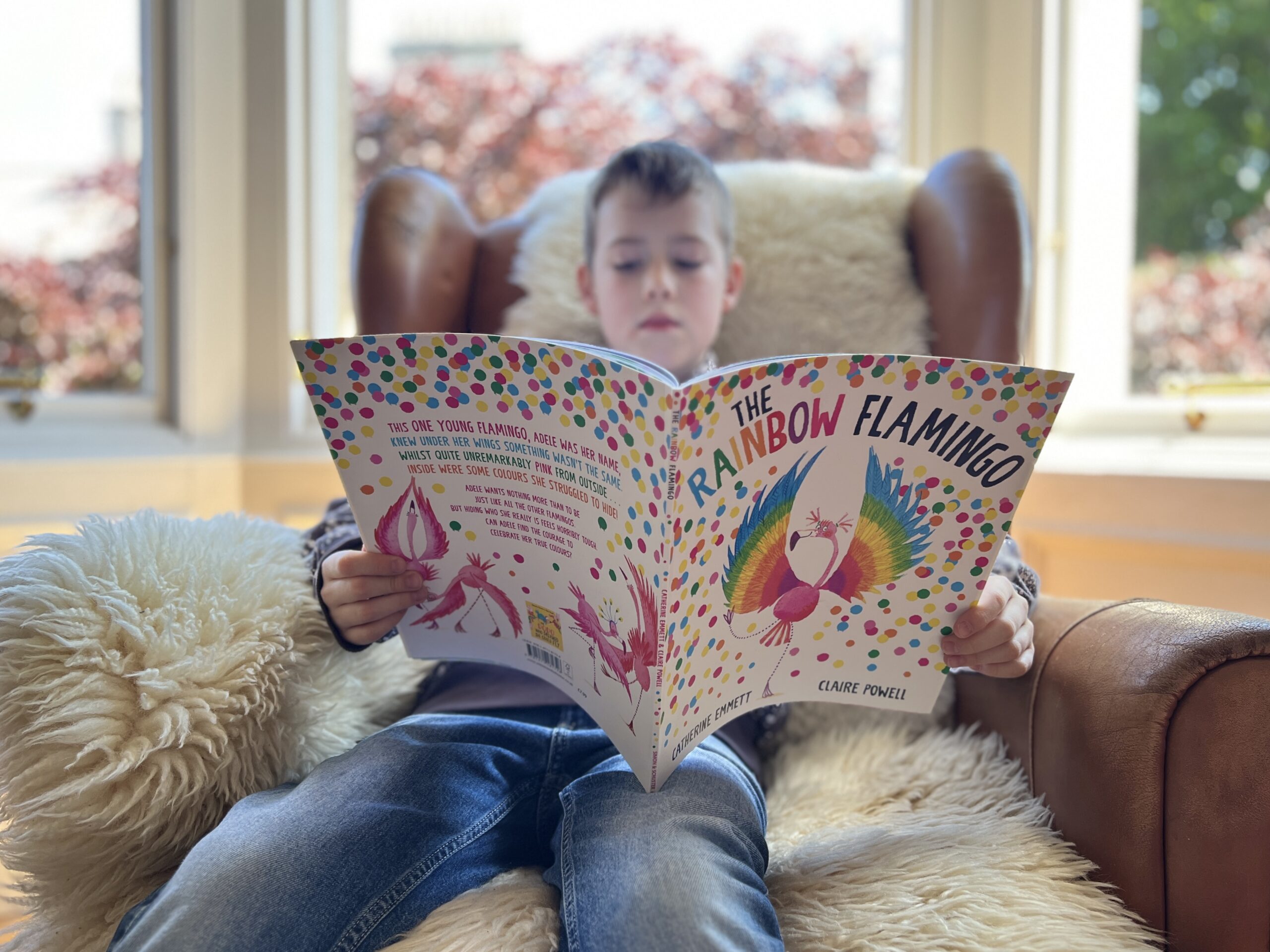 Boy reading The Rainbow Flamingo