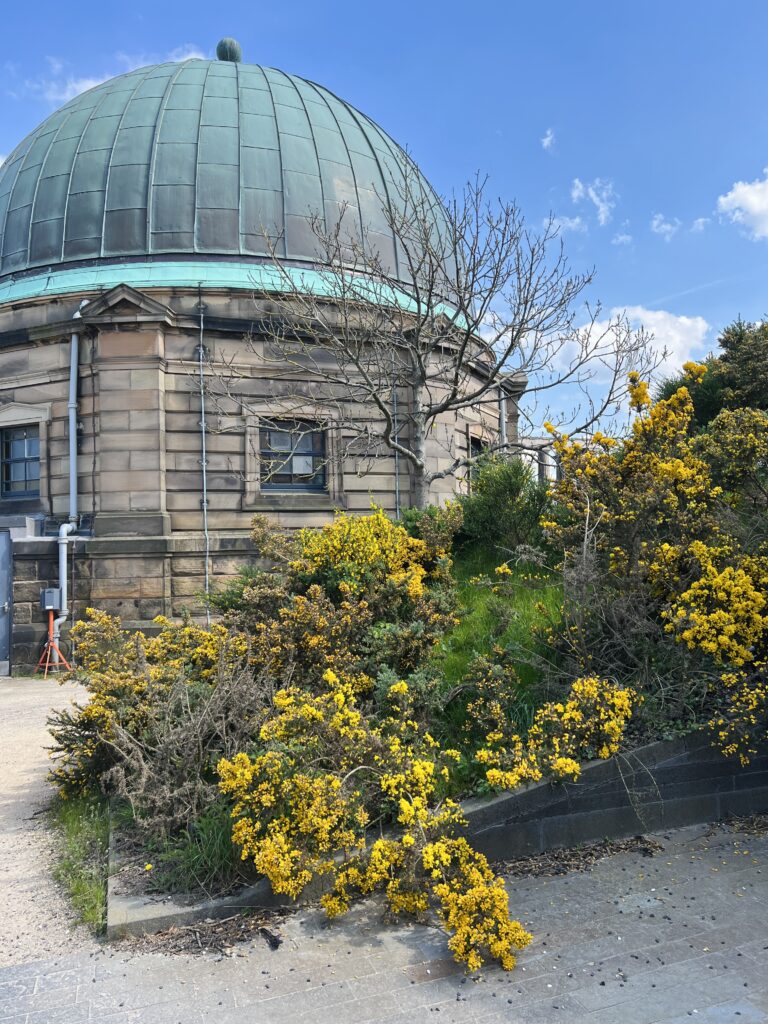 Collective Calton Hill