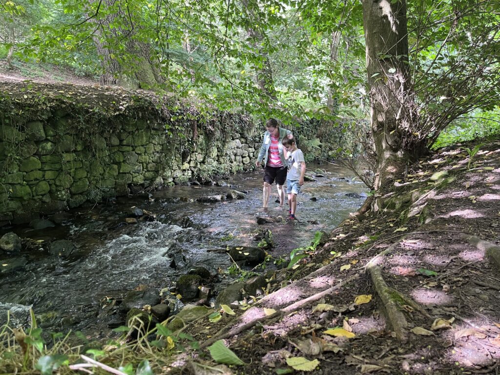 Hermitage River Walk - walking through the water