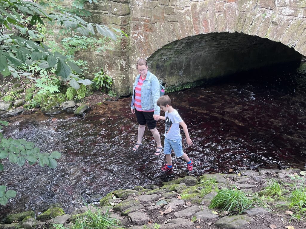 Hermitage of Braid river walk - getting in the water