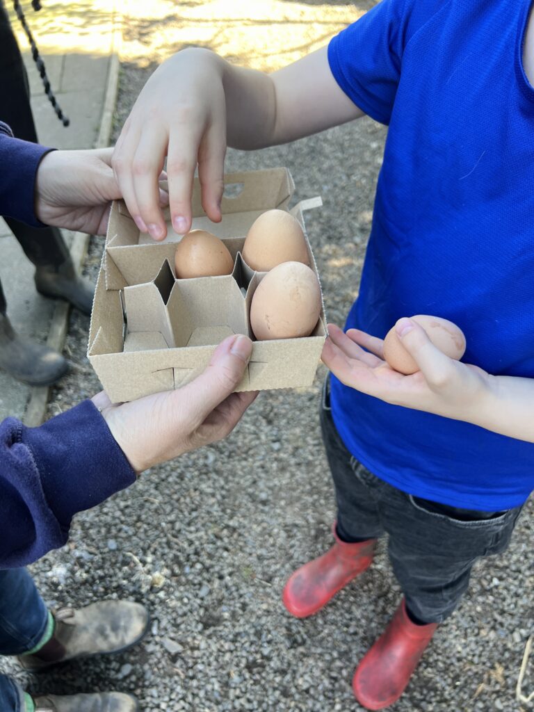 Menagerie Edinburgh Eggs