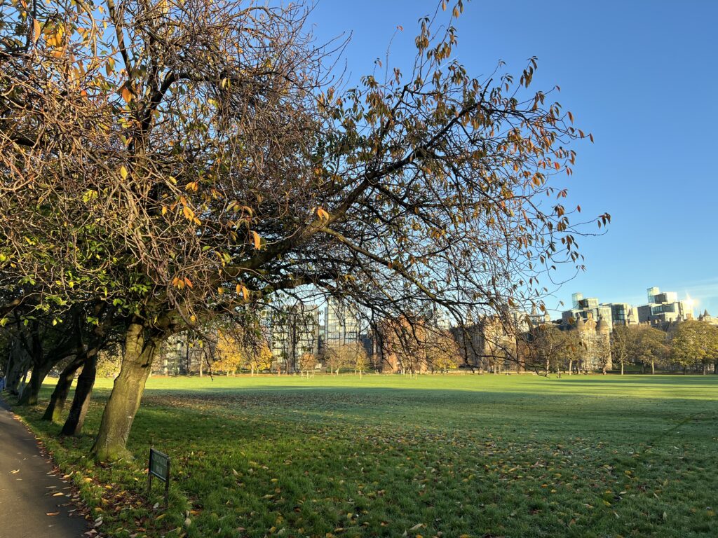 Photograph of The Meadows park in Edinburgh